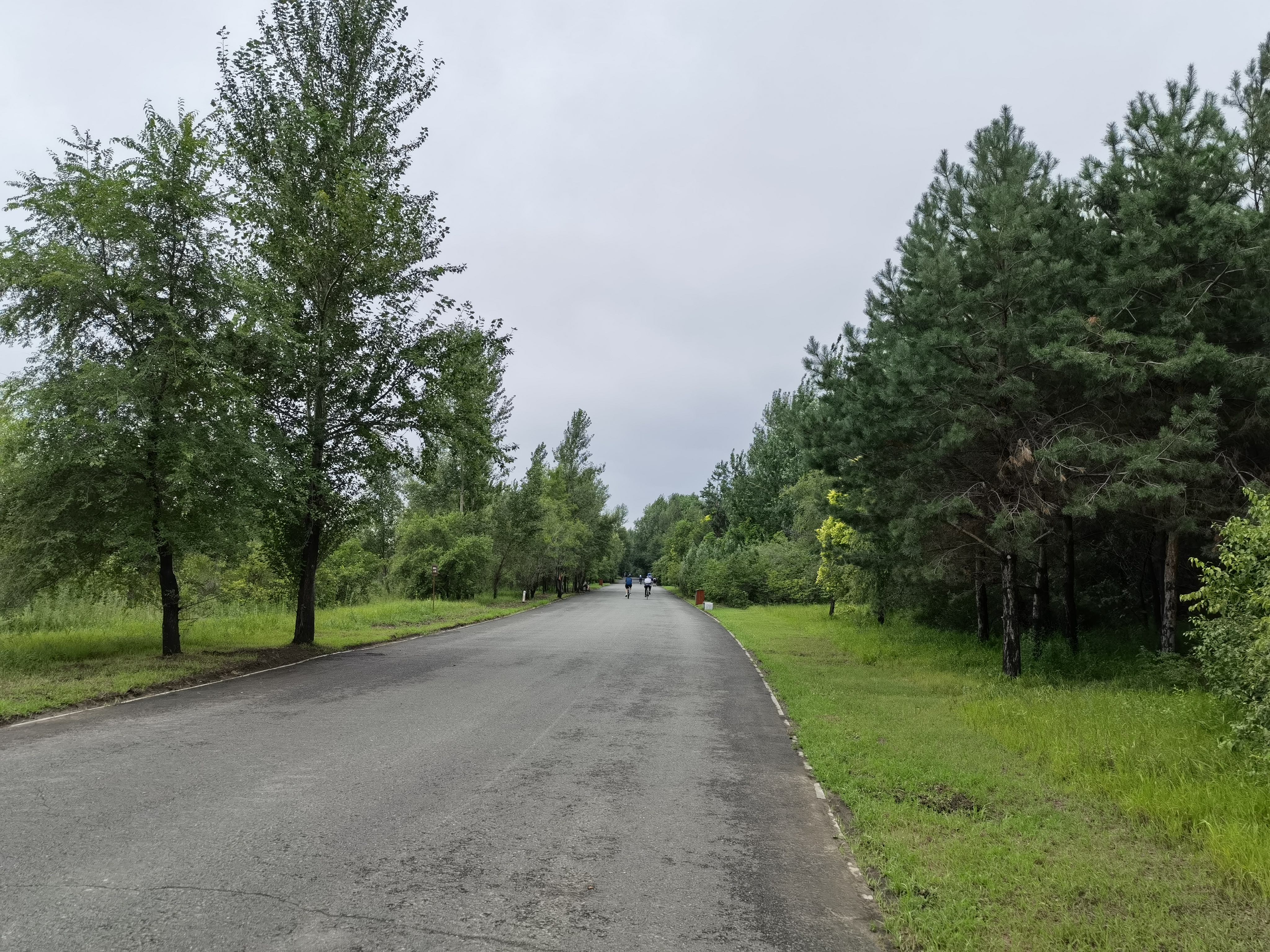 开云中国-关于社区盾今晚走向成谜,多特蒙德战术微调,话题不断,训练强度明显提升的信息